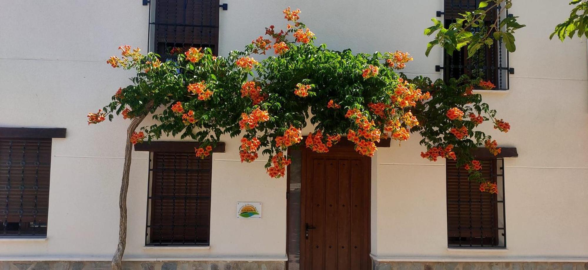 El Molino De Alatoz Exterior foto